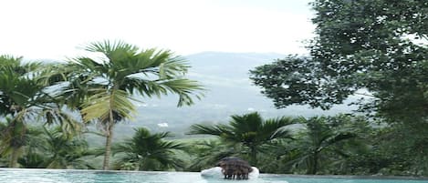 Deluxe Room | 1 bedroom