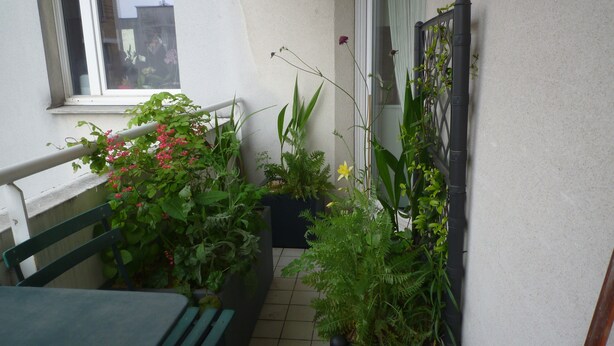 Een klein balkon met een tafel en stoelen, planten in potten en een raam met uitzicht op een gebouw.