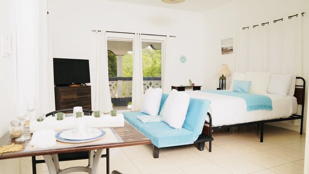 Una habitación con cama, sofá, mesa de comedor y televisor.