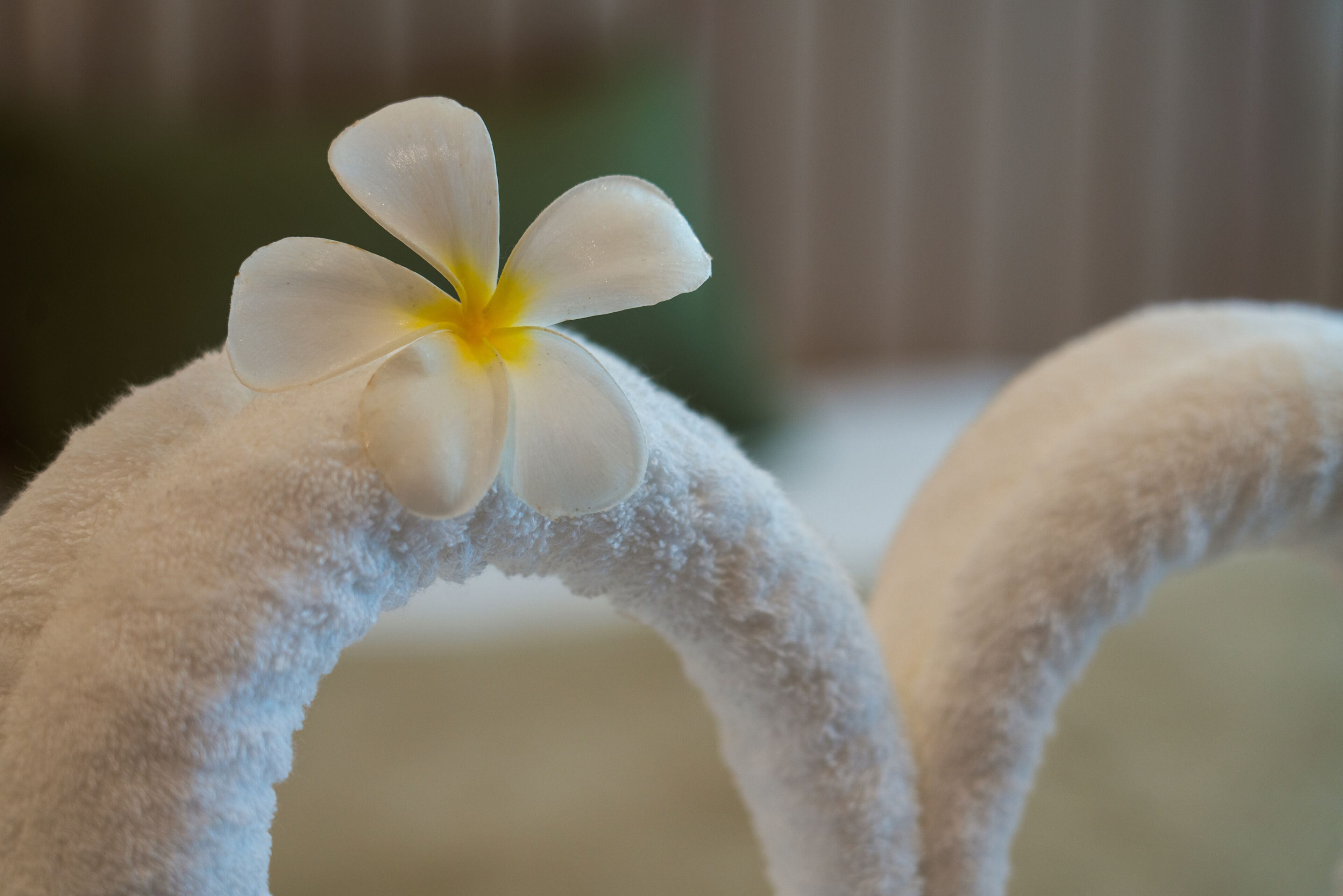 Foto - Niranapa Boutique Resort