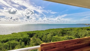 A balcony with a wooden bench overlooking a coastal landscape with dense greenery and a view of the sea and a distant island. - Sunshine Paradise Key Largo Ocean Pointe 4402 (Tavernier)