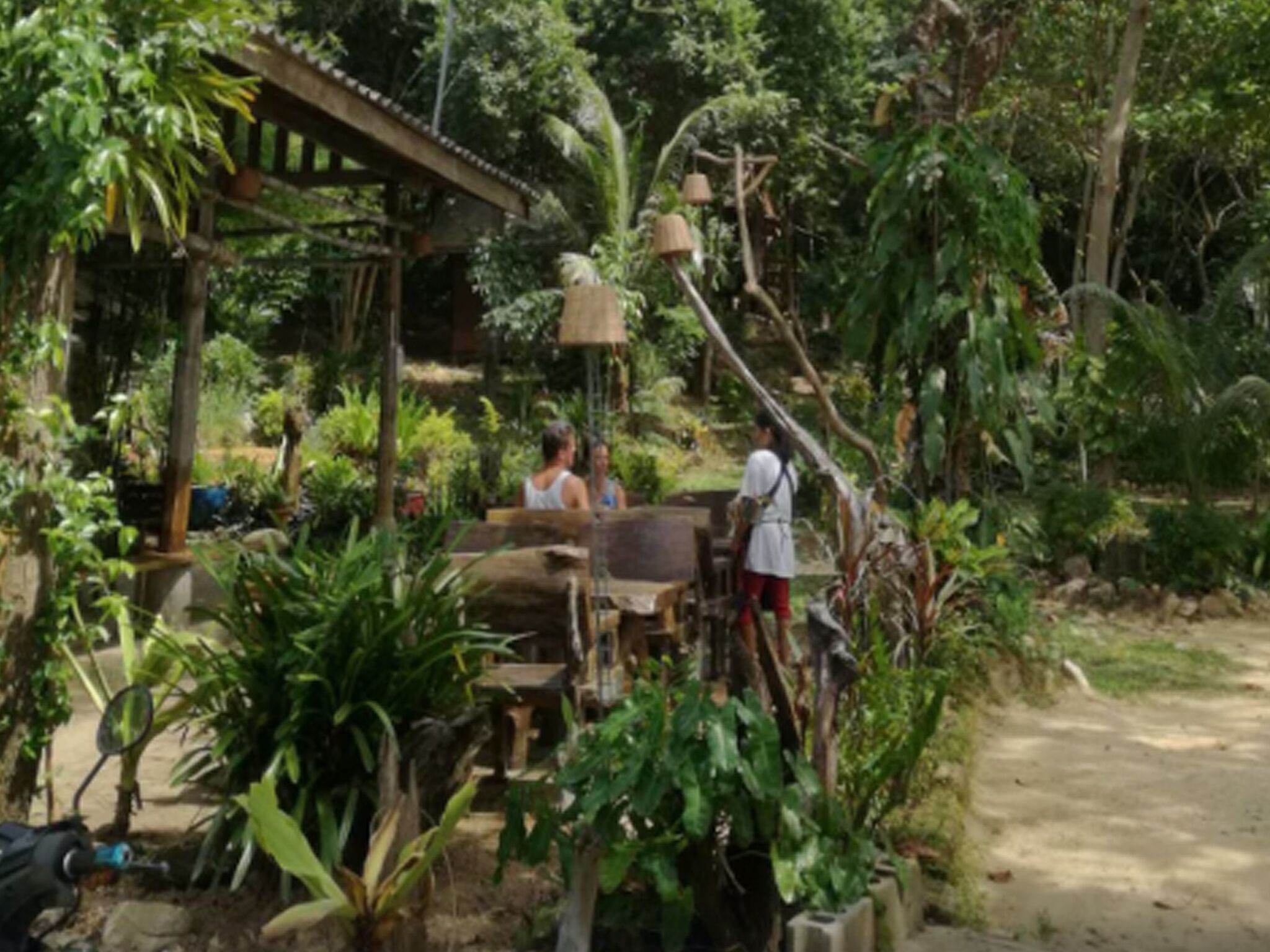 Un espacio al aire libre rústico con mesas y sillas de madera, rodeado de abundante vegetación y una estructura con techo de paja.