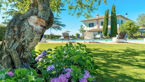 A villa with a swimming pool, lounge chairs, and a garden with hydrangeas. - Luxurious home in Bagnoregio (Bagnoregio)