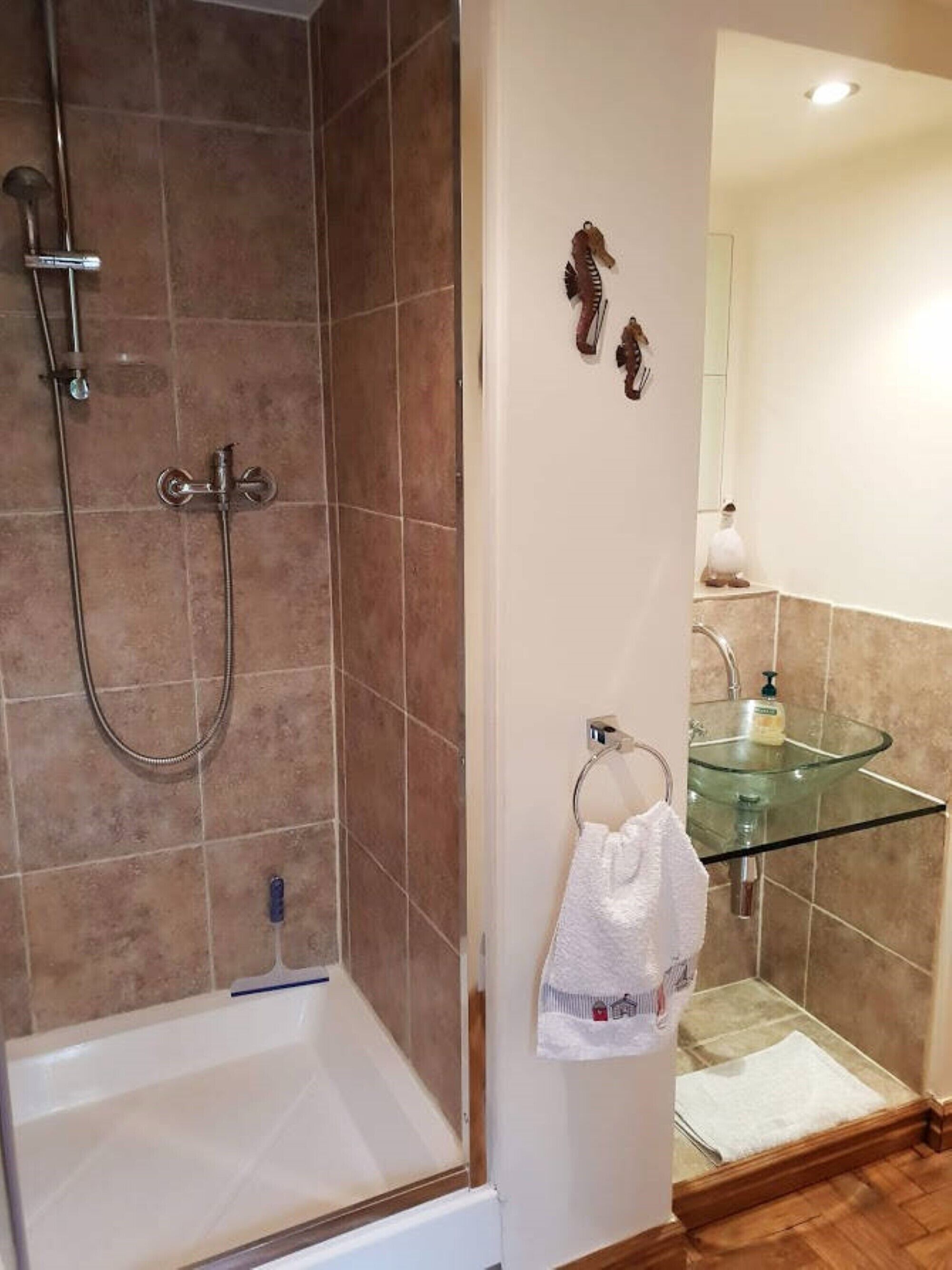 Shower, hair dryer, soap, toilet paper