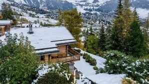 Et fjeldhotel med sneklædt tag, omgivet af træer og bjerge.