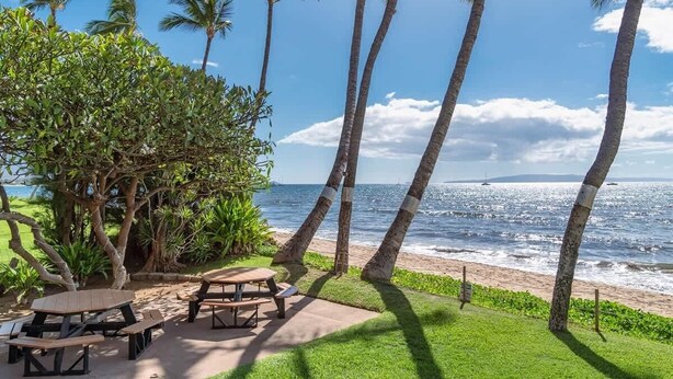 Eine Terrasse am Strand mit Picknicktischen und Palmen, mit Blick auf das Meer.