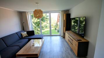 Smart TV, libri, monitor per computer