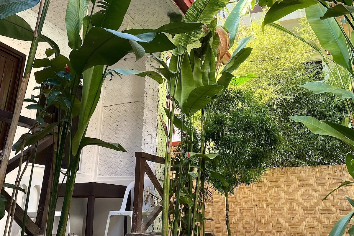 Garden view