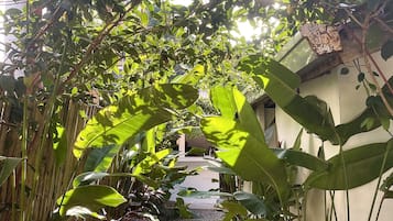 Entrada da propriedade