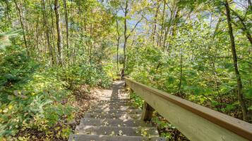 Appartement (3 Bedrooms) | Interieur