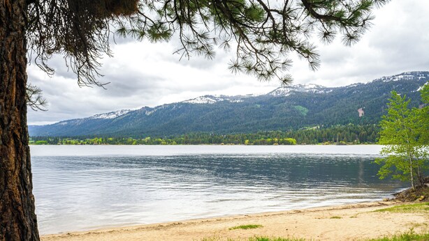 A lakeside view with a sandy beach, a tree, and mountains in the background. - Peaceful Donnelly Retreat < 1 Mi to Lake Cascade! (Donnelly)
