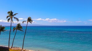 A beach with palm trees and a clear view of the ocean.