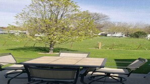 Un patio al aire libre con una mesa y sillas, rodeado de césped y árboles.
