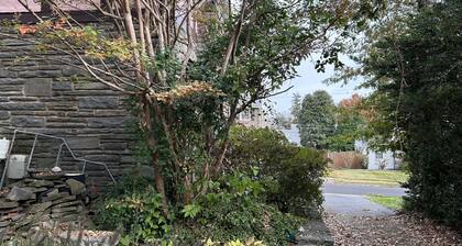 Comfy Tudor in suburban setting, 5mi from Center City Philadelphia. Coffee bar!