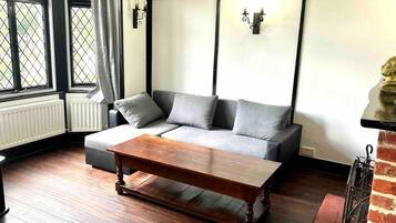 House | Living area | TV, fireplace