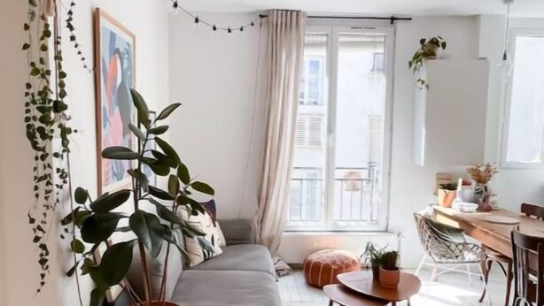 Un salon moderne avec un canapé gris, un fauteuil bleu, une petite table ronde et un coin repas comprenant une table et des chaises en bois. On y trouve également plusieurs plantes en pot et un tableau accroché au mur.