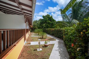 Property grounds - Anis au Refuge de Madiana à Schoelcher" (Schoelcher)