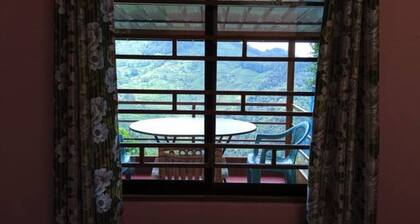 Green Paradise Room-3