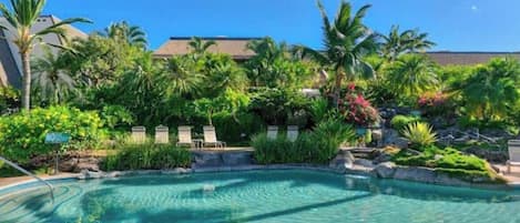 A clear swimming pool surrounded by lush greenery and palm trees.