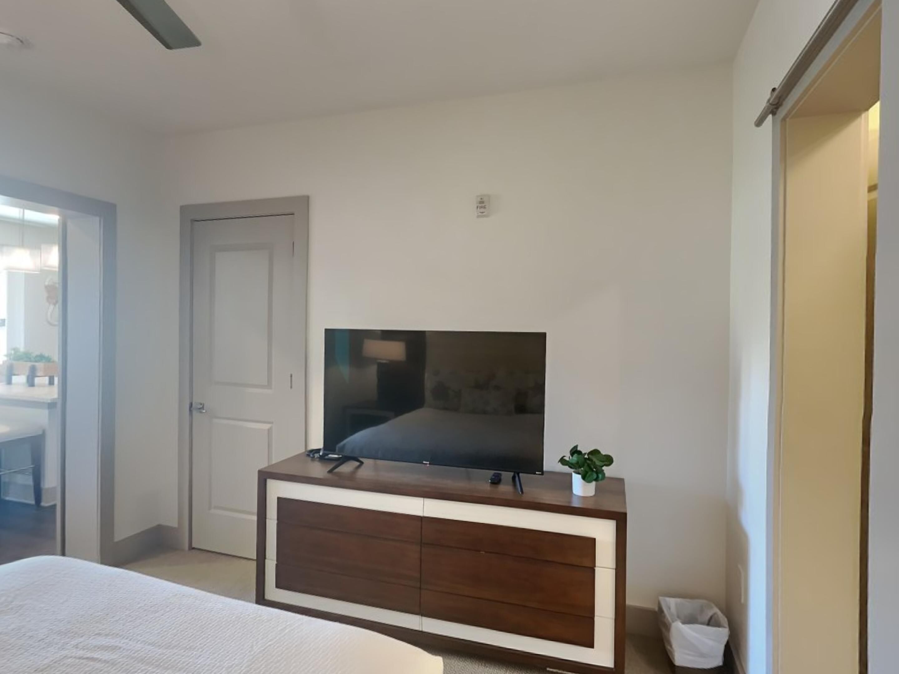 A bedroom with a bed, a TV on a wooden cabinet, a door, and a small plant.