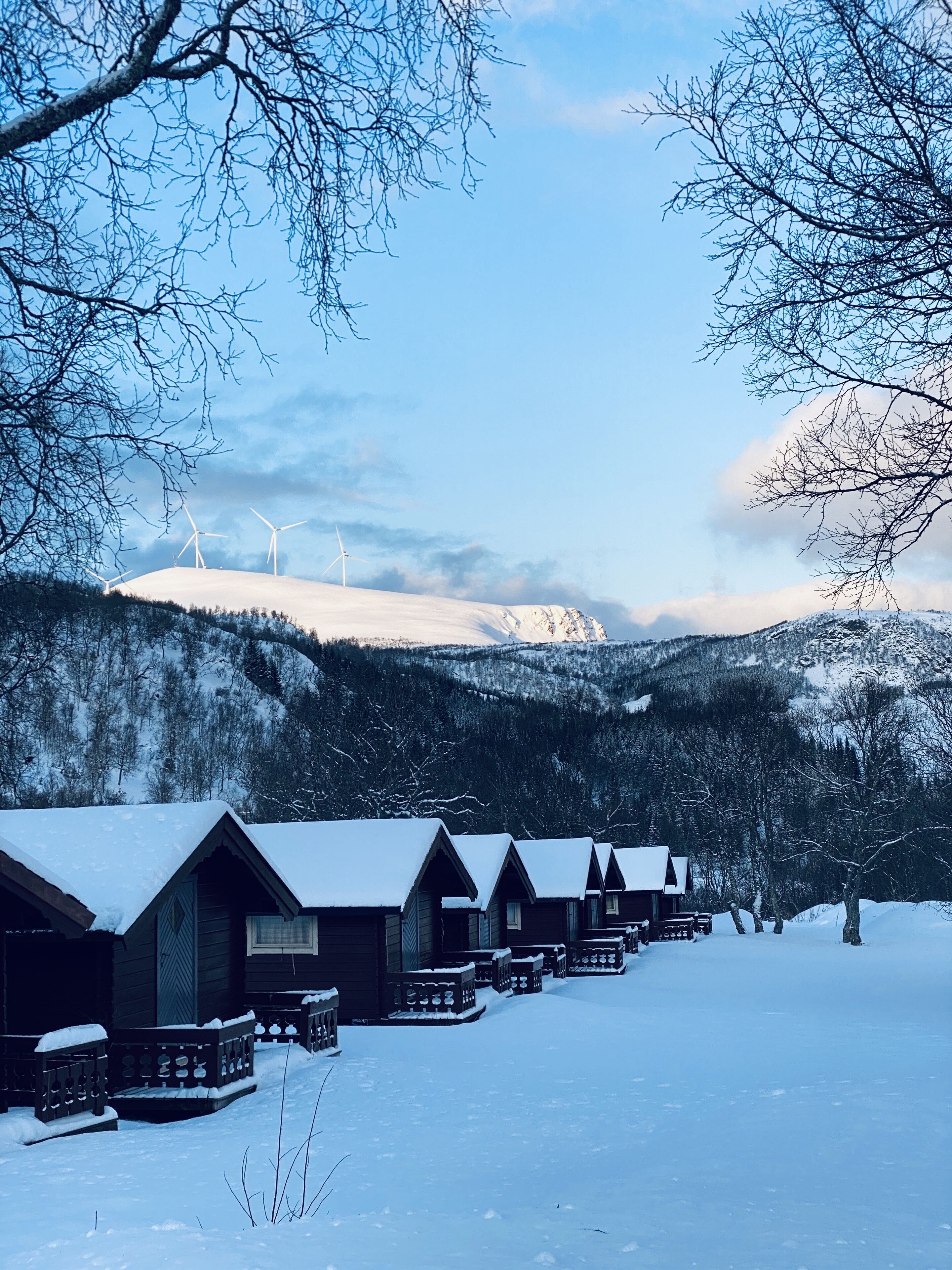 Una televisión de pantalla plana