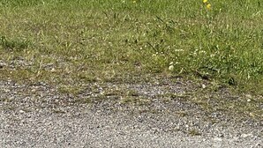Image sans description, 2 de 64, bouton