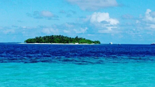 Une île tropicale aux eaux turquoise et cristallines, bordée d’une plage de sable fin.