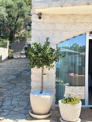 Detalle del exterior