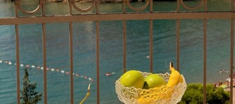 Villa Milan- 100 m by air island St. Stephen-organic food-sea view suites