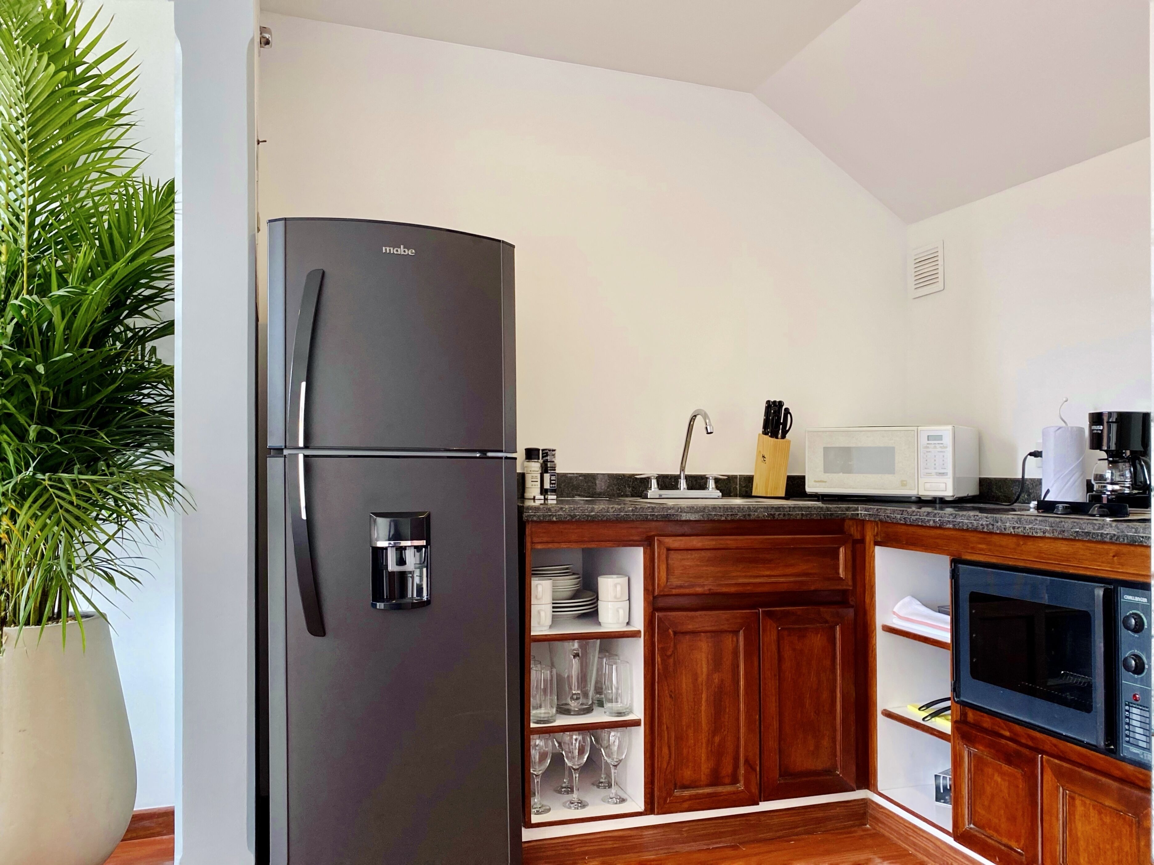 Club Apartment | Private kitchen | Fridge, microwave, blender, cookware/dishes/utensils