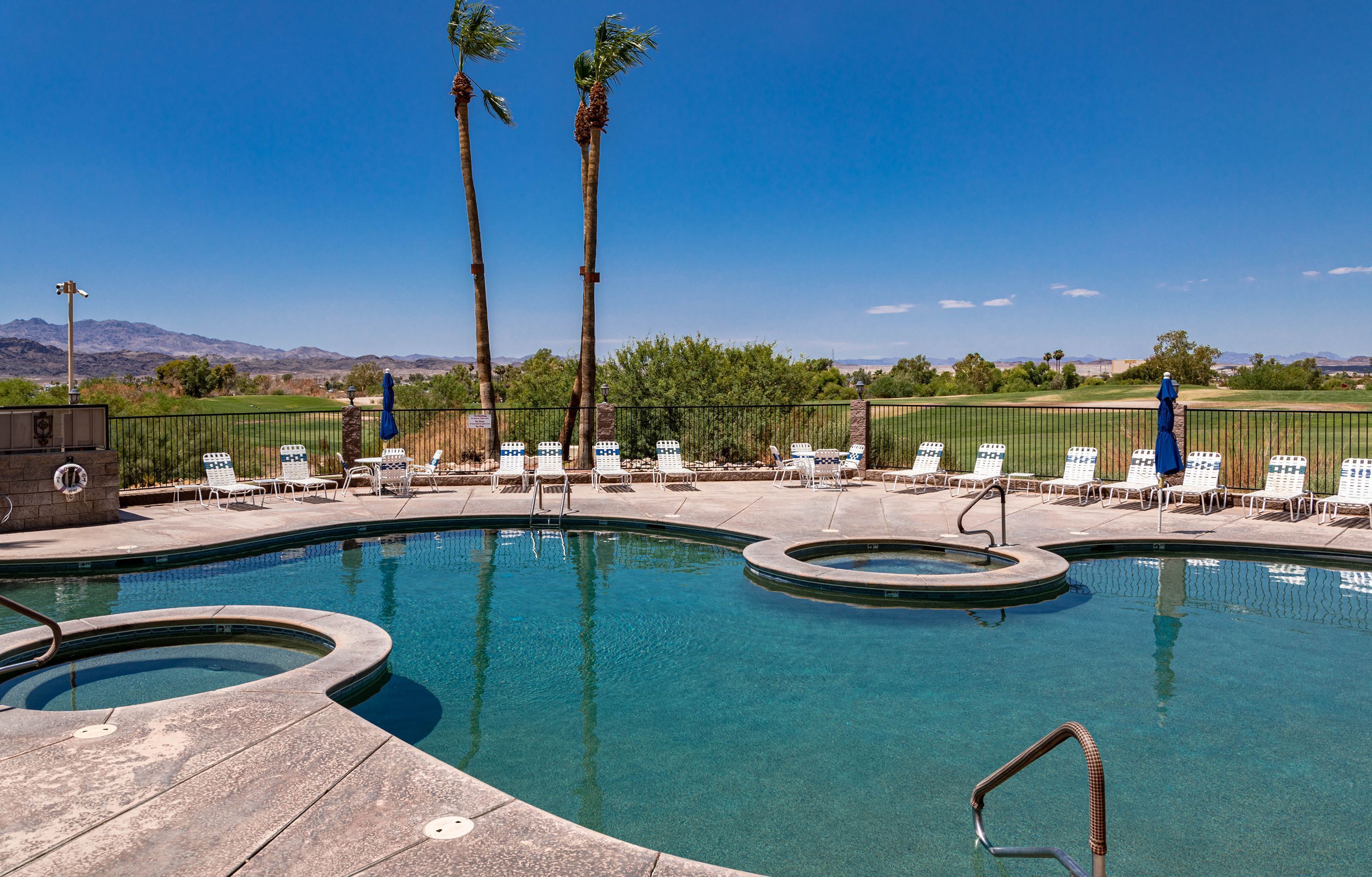 A swimming pool with lounge chairs and palm trees.