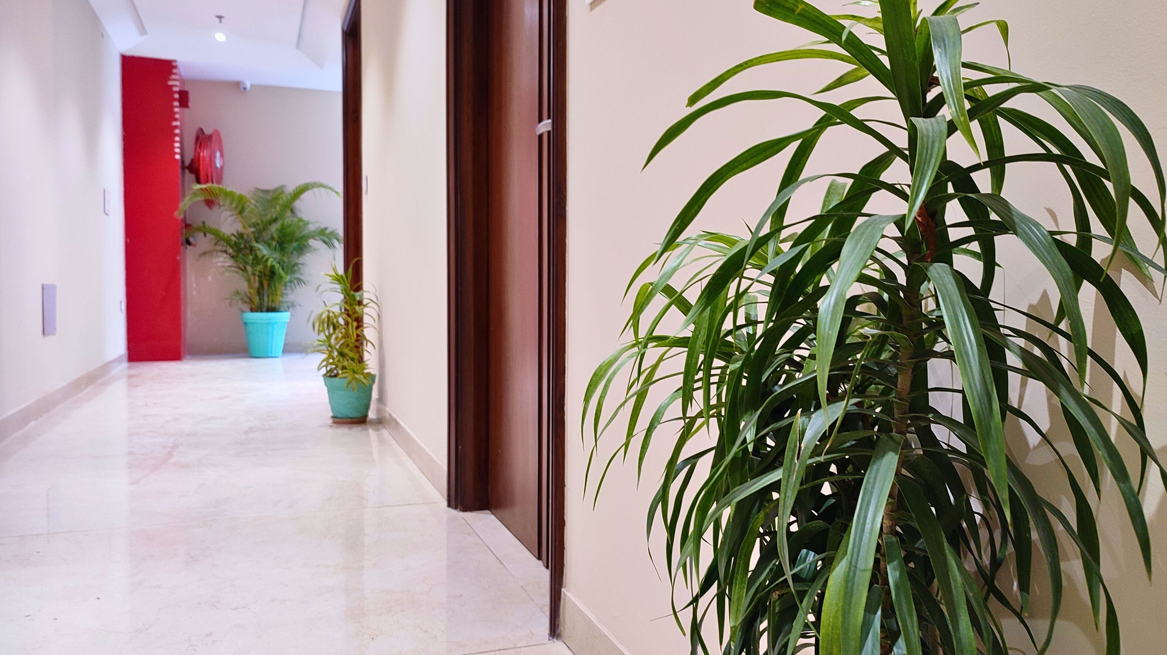 A hallway with a marble floor, potted plants, and a red door.