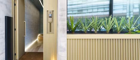 Ein modernes Interieur mit einem zur Tür führenden Flur, einer Wandpflanzenanzeige und einem großen Fenster mit Jalousien.