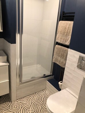 Bathroom features a glass-enclosed shower, toilet, and towel rack.