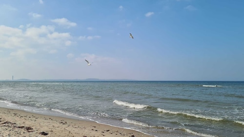 HoLa Auszeit - ehemalige Scheune am Dassower See