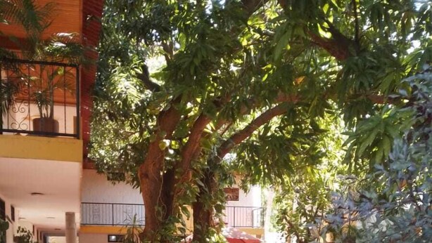 Exterior - Hostal La Casona Vieja (Valledupar)