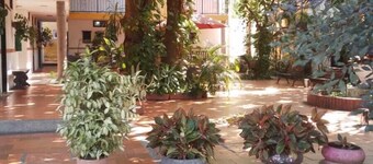 Hostal La Casona Vieja