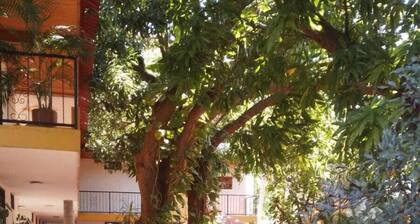 Hostal La Casona Vieja