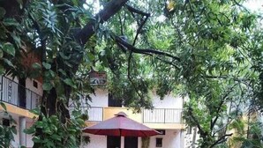 Terrace/patio - Hostal La Casona Vieja (Valledupar)