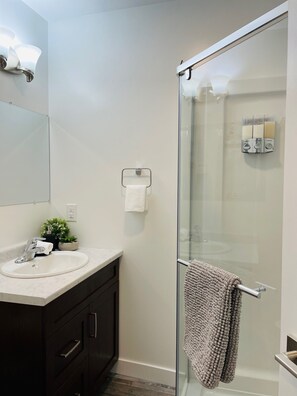 Shower, hair dryer, bidet, towels