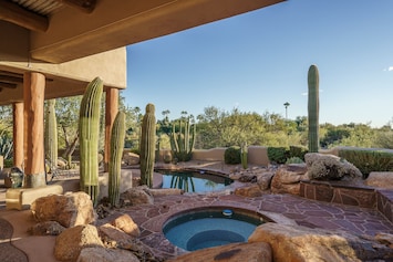 Backyard oasis