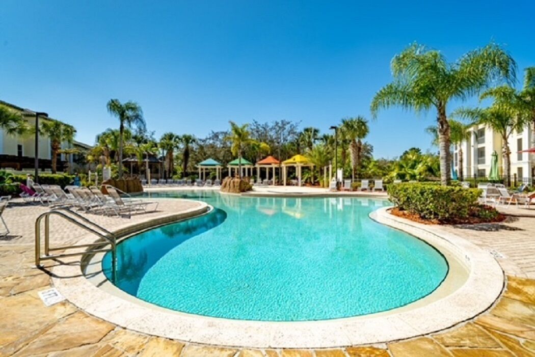 A swimming pool with lounge chairs and palm trees.