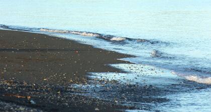 Cute and Cozy, Walking distance to Gorgeous Beach or Beautiful Forest Walk!