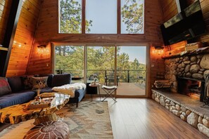 TV, caminetto, libri