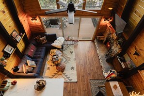 TV, fireplace, books