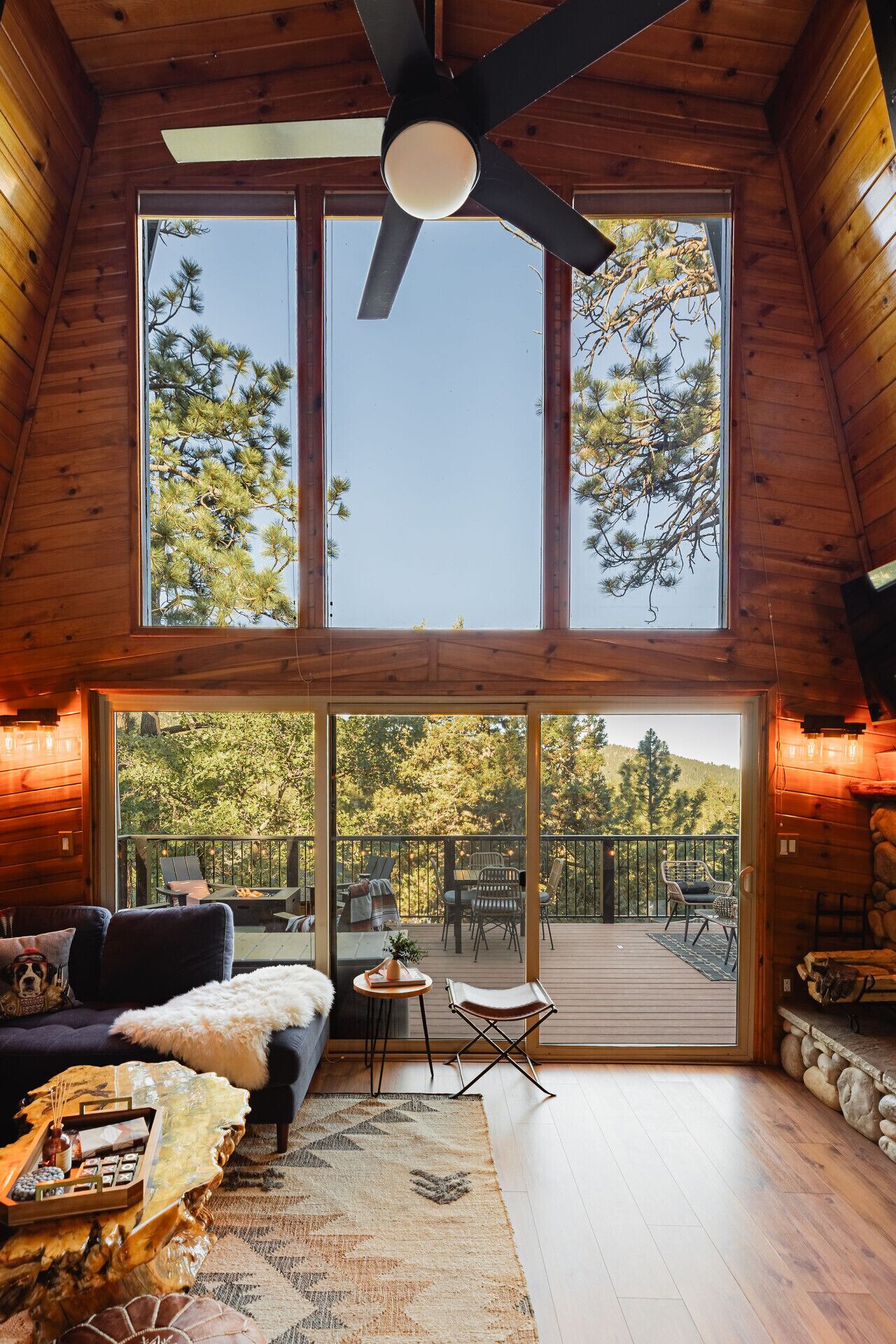 TV, fireplace, books