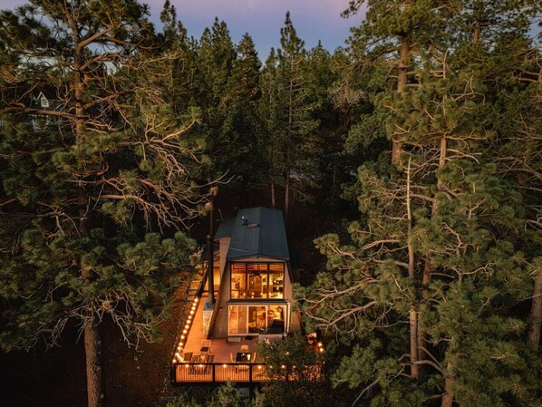 A cabin surrounded by tall pine trees at dusk.