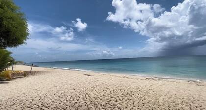 Island Oasis, Special Nightly Rates. Vehicle rental available.