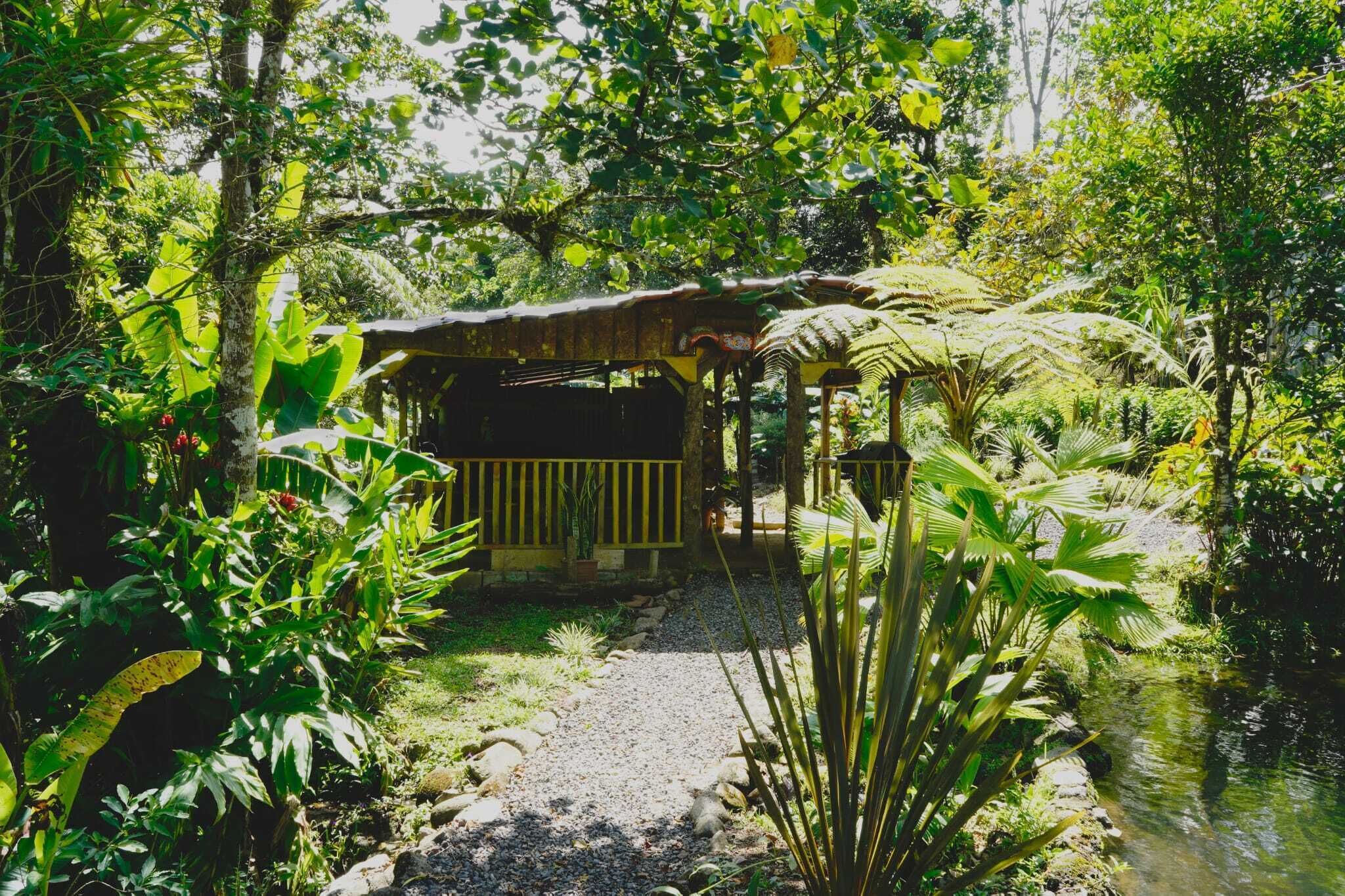 A rustic wooden structure with a thatched roof, surrounded by lush greenery and a small stream.