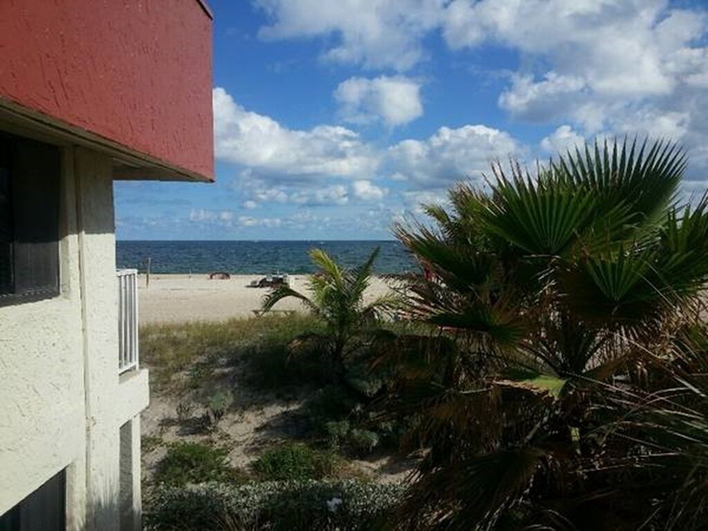 Vista sulla spiaggia con un edificio in primo piano e palme.